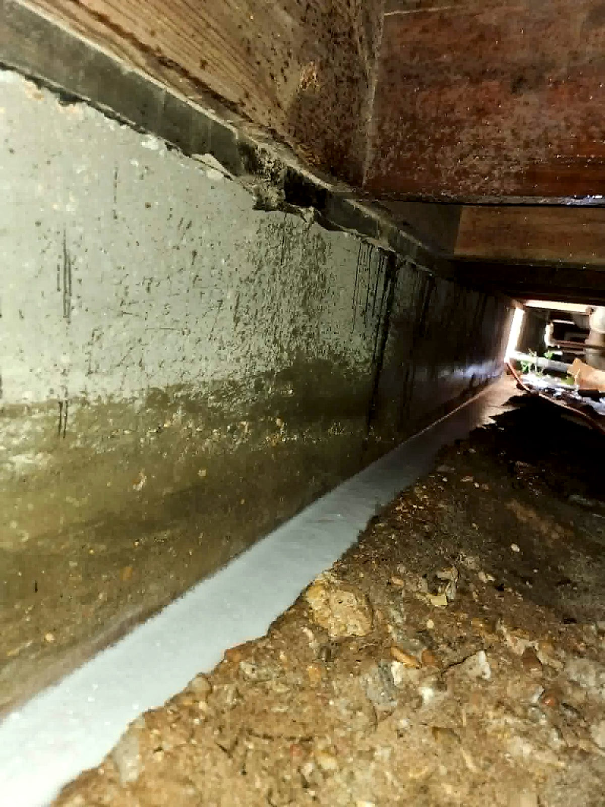 A treated trench running the foundation wall of a crawl space