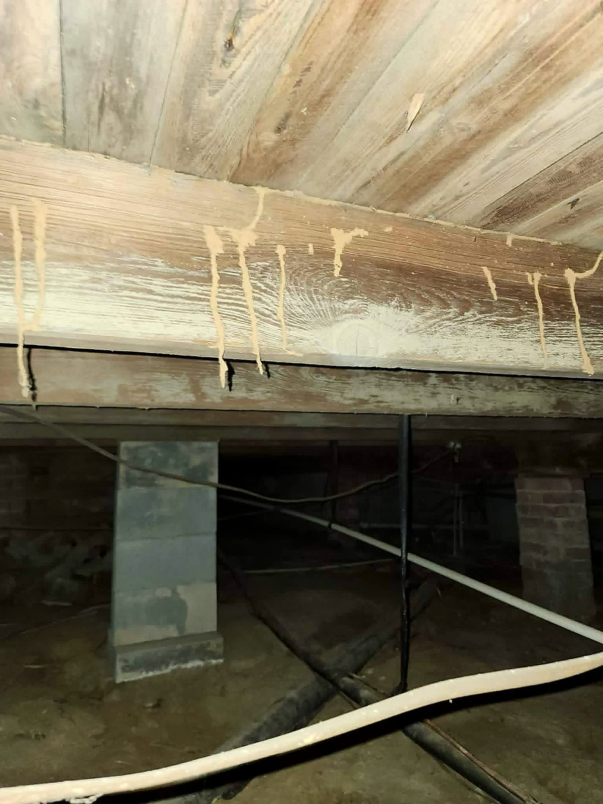 Termite drop tubes hanging from a girder in a crawl space