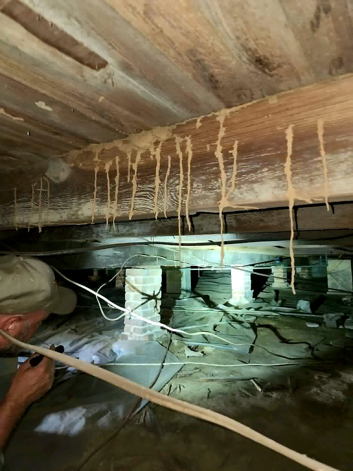 Termite mud tubes hanging from a floor joist in a Pine Belt crawl space